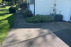 brick-paver-walkway-tones-before