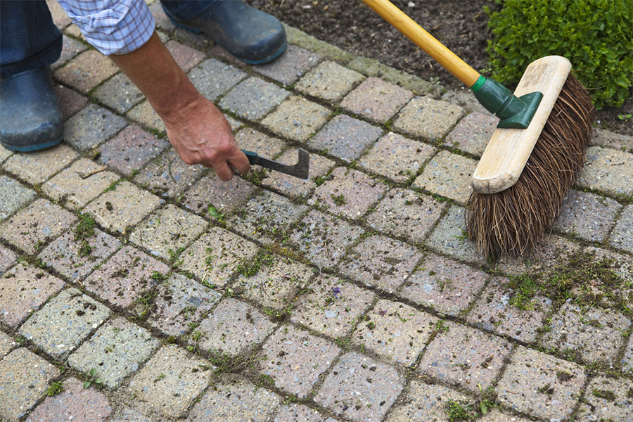 Brick Walkway Maintenance: Tips and Tricks