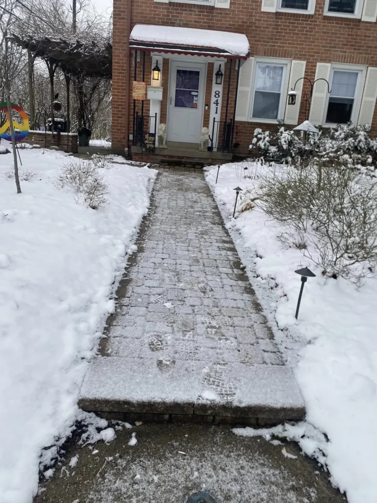 Before: red paver walkway and patio with pergola job before work started